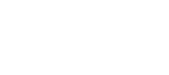 Swiss Protection Group logo white